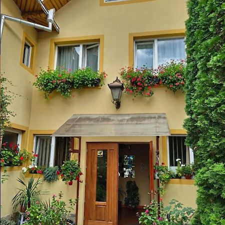 B&B Dumbrava Gura Humorului Extérieur photo